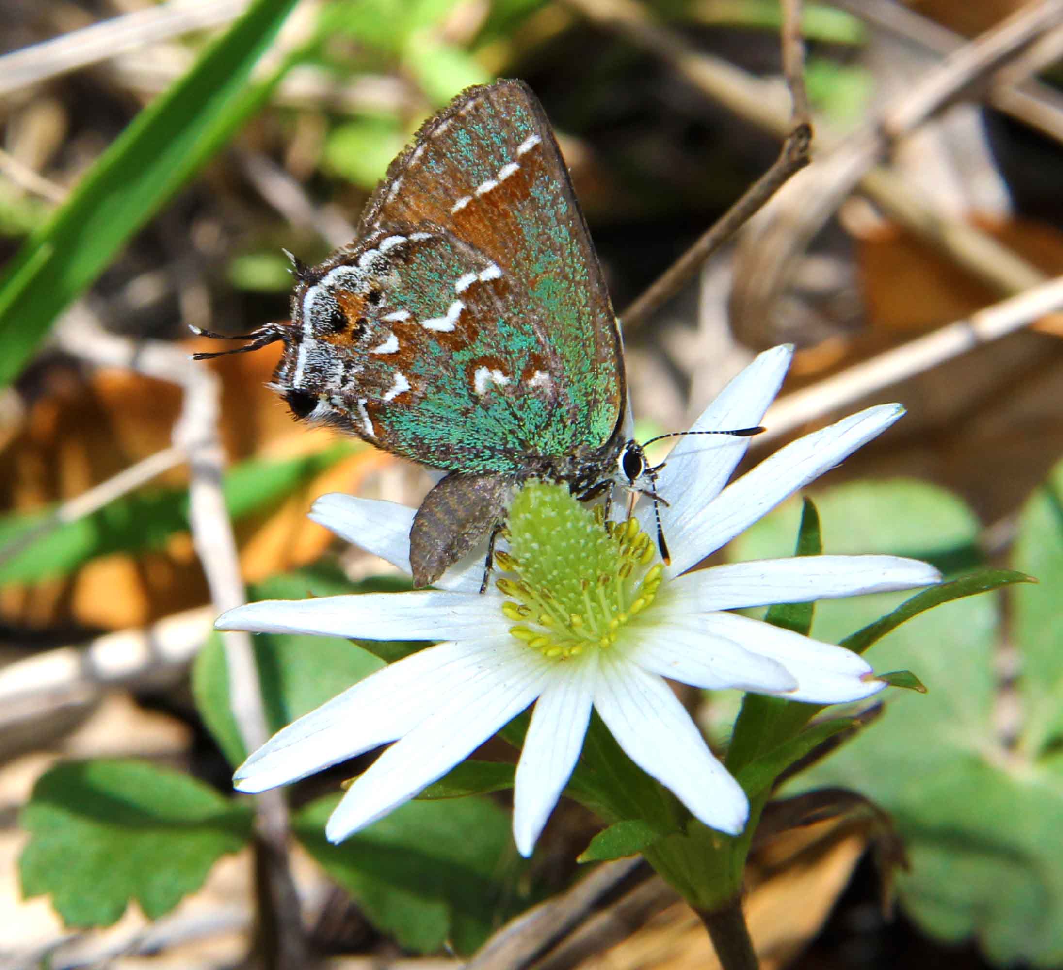 Met Art Museum New York City