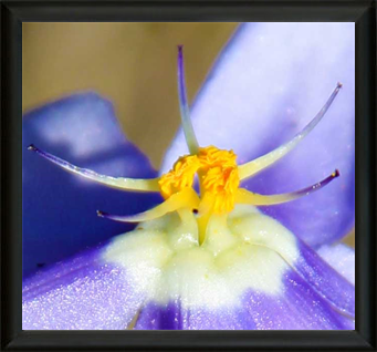 Fine Art Photography - Met Art Museum Show