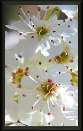 Met Art Museum Photography Show