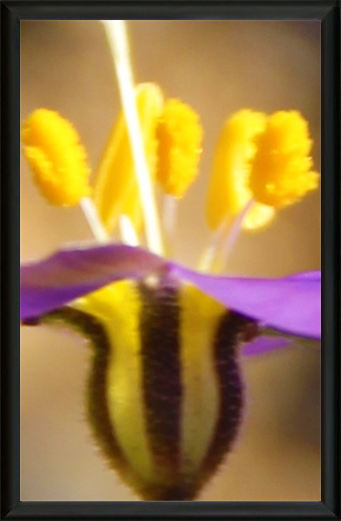 The Natural Museum Exhibition