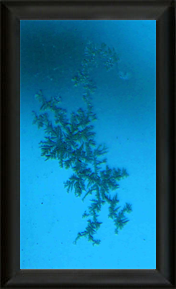 Met Art Museum Exhibits