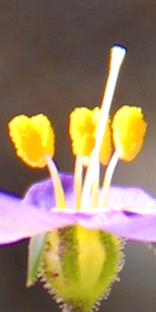 Virtual Museum
Art Museum