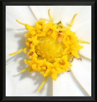 Natural Museum Photography Exhibition