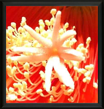 Met Art Museum Exhibition 2021