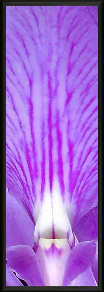 Natural Museum - Met Art Museum