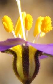 Met Art Museum
FREE Museum